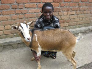 Don de chèvre à un orphelin du Rwanda