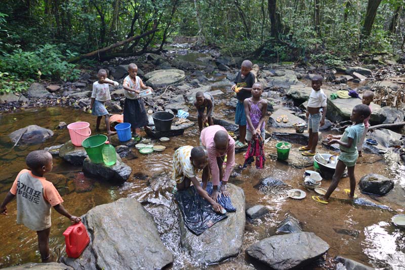 Vaisselle et lessive dans la rivière près d'un campement Pygmée en forêt