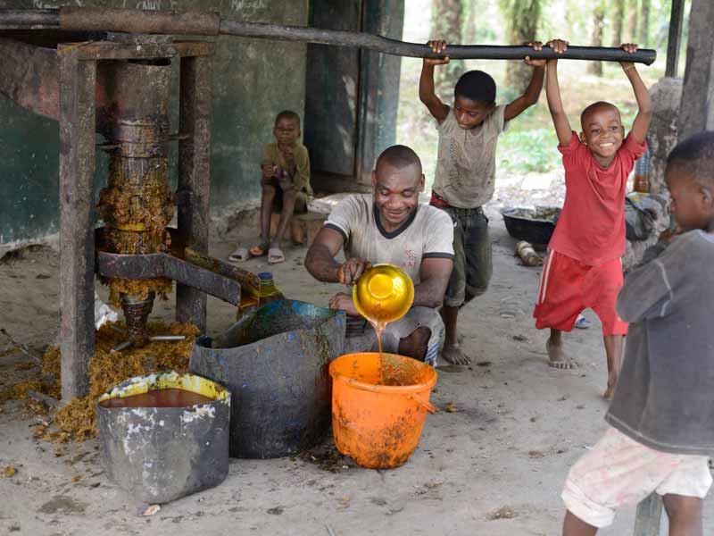 Le pressoir de noix de palme du Fondaf Bipindi au Cameroun