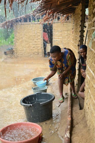 Récupération de l'eau de pluie dans un campement Pygmée Bagyeli au Cameroun