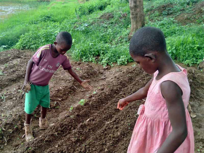 Les enfants de Bumi sèment des graines et préparent leurs plantations dans le cadre de leur apprentissage du jardinage