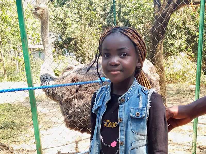 Les enfants sont fascinés par les autruches du zoo de Lubumbashi