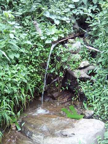Une des trois sources utilisées pour  l'adduction d'eau à Kitolu en RDC