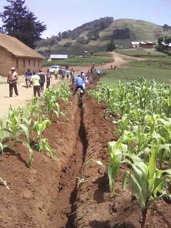Terrassement et creusement des tranchées pour l'adduction d'eau d'Ikuvula au Nord Kivu en RD du Congo