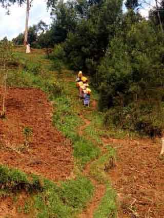 Le sentier escarpé par lequel les femmes d'Ikuvula descendaient pour puiser l'eau dans la vallée