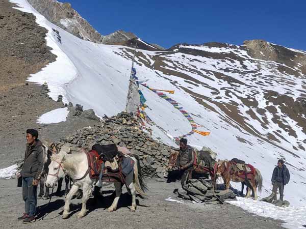 Trak dans le Haut Dolpo, descente depuis Tinje jusqu'à Dunai dans le Bas Dolpo pour rejoindre Katmandou