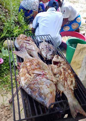 Poissons grillés sur la plage à Madagascar